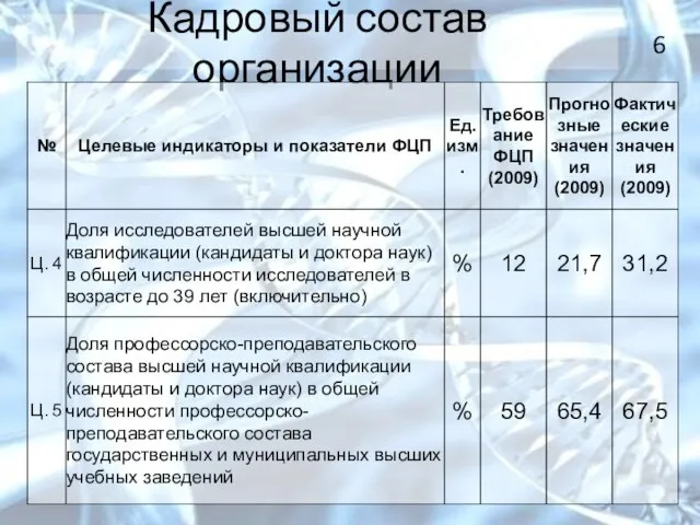 Кадровый состав организации