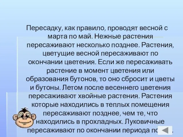 Пересадку, как правило, проводят весной с марта по май. Нежные растения пересаживают