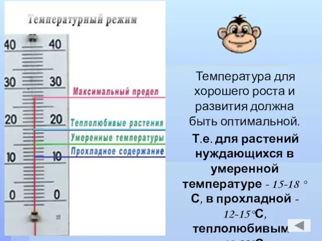 Температура для хорошего роста и развития должна быть оптимальной. Т.е. для растений