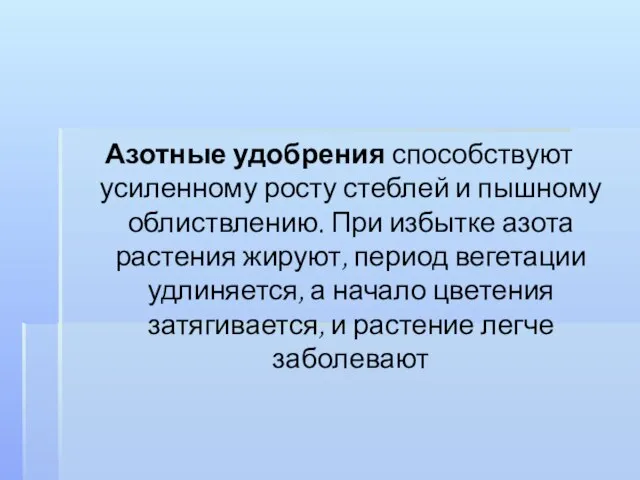 Азотные удобрения способствуют усиленному росту стеблей и пышному облиствлению. При избытке азота