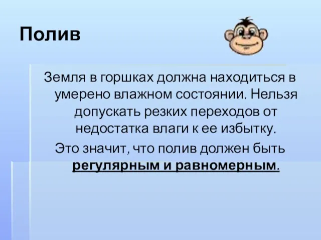 Полив Земля в горшках должна находиться в умерено влажном состоянии. Нельзя допускать