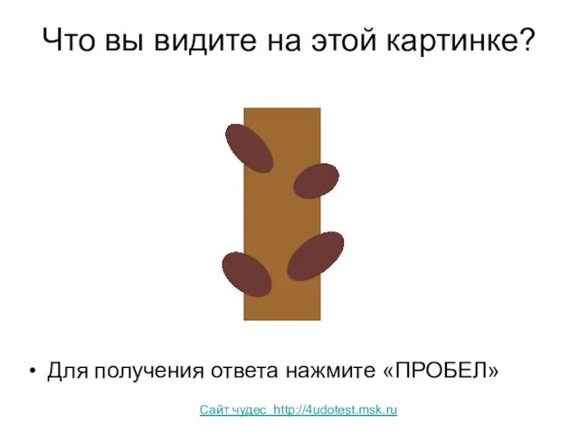 Что вы видите на этой картинке? Для получения ответа нажмите «ПРОБЕЛ» Сайт чудес http://4udotest.msk.ru