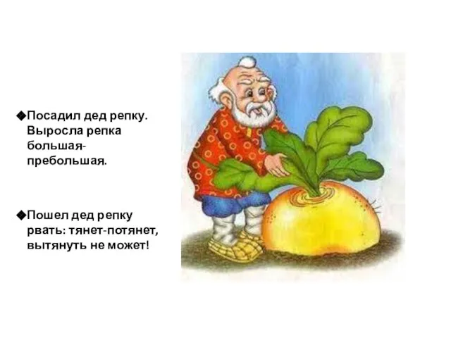 Посадил дед репку. Выросла репка большая-пребольшая. Пошел дед репку рвать: тянет-потянет, вытянуть не может!