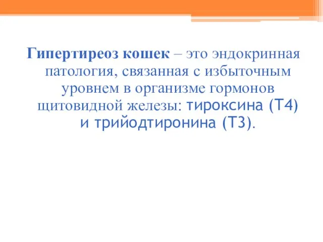 Гипертиреоз кошек – это эндокринная патология, связанная с избыточным уровнем в организме