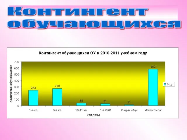 Контингент обучающихся