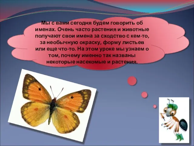 Мы с вами сегодня будем говорить об именах. Очень часто растения и