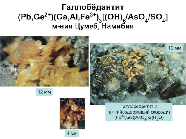 Галлобёдантит (Pb,Ge2+)(Ga,Al,Fe3+)3[(OH)6/AsO4/SO4] м-ния Цумеб, Намибия 12 мм Галлобедантит и галлийсодержащий скородит (Fe3+,Ga)[AsO4]·2(H2O) 4 мм 10 мм