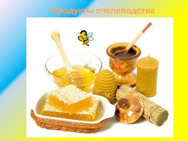 Продукты пчеловодства