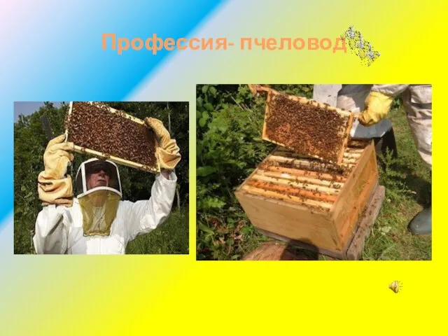 Профессия- пчеловод