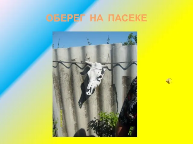 ОБЕРЕГ НА ПАСЕКЕ