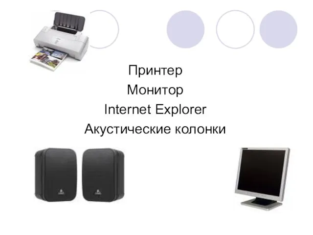Принтер Монитор Internet Explorer Акустические колонки