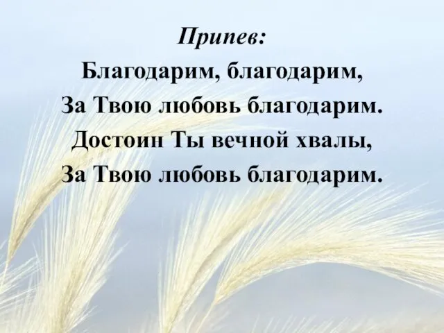 Припев: Благодарим, благодарим, За Твою любовь благодарим. Достоин Ты вечной хвалы, За Твою любовь благодарим.