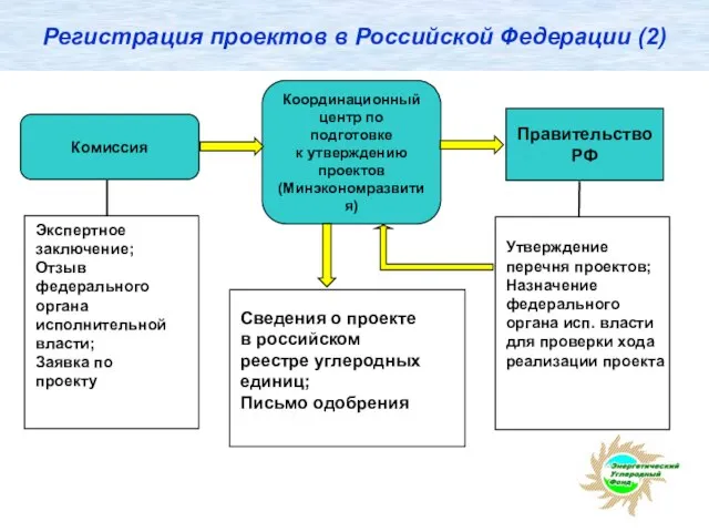 Регистрация проектов в Российской Федерации (2) Экспертное заключение; Отзыв федерального органа исполнительной