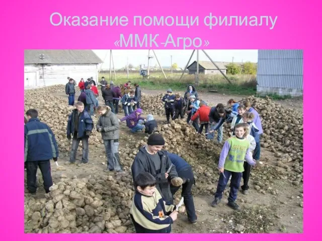 Оказание помощи филиалу «ММК-Агро»