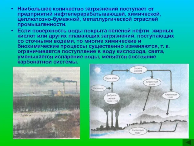 Наибольшее количество загрязнений поступает от предприятий нефтеперерабатывающей, химической, целлюлозно-бумажной, металлургической отраслей промышленности.