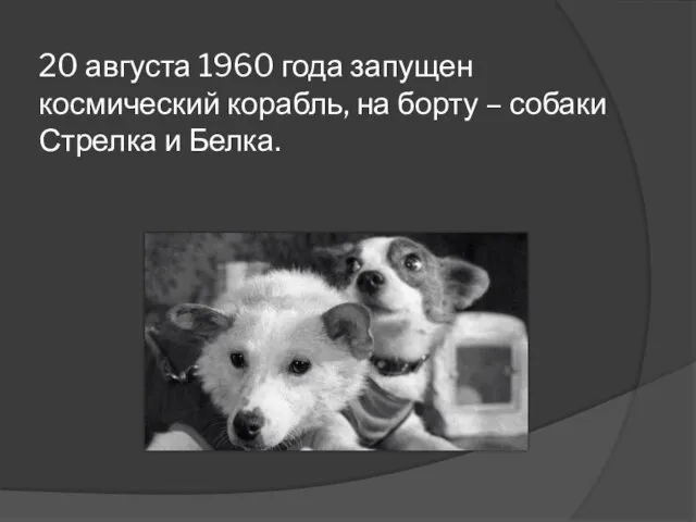 20 августа 1960 года запущен космический корабль, на борту – собаки Стрелка и Белка.