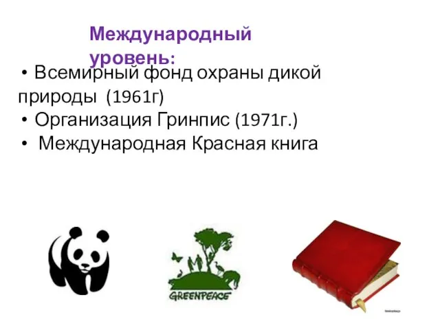 Международный уровень: Всемирный фонд охраны дикой природы (1961г) Организация Гринпис (1971г.) Международная Красная книга