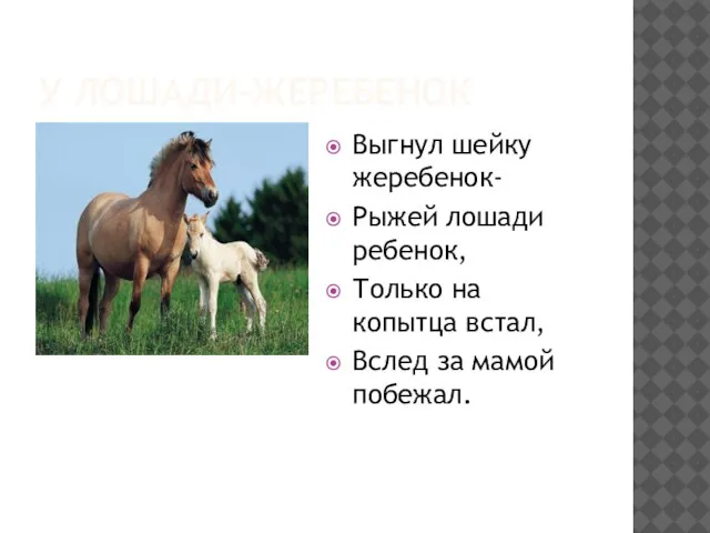 У ЛОШАДИ-ЖЕРЕБЕНОК Выгнул шейку жеребенок- Рыжей лошади ребенок, Только на копытца встал, Вслед за мамой побежал.