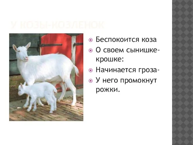 У КОЗЫ-КОЗЛЕНОК Беспокоится коза О своем сынишке-крошке: Начинается гроза- У него промокнут рожки.