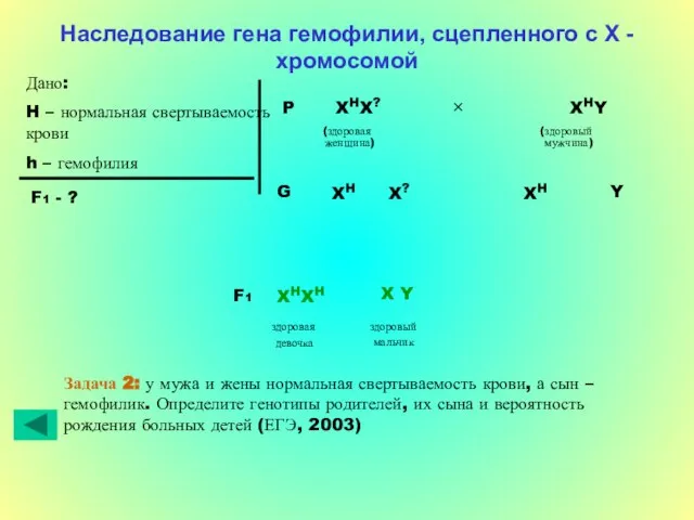 Наследование гена гемофилии, сцепленного с Х - хромосомой Дано: H – нормальная