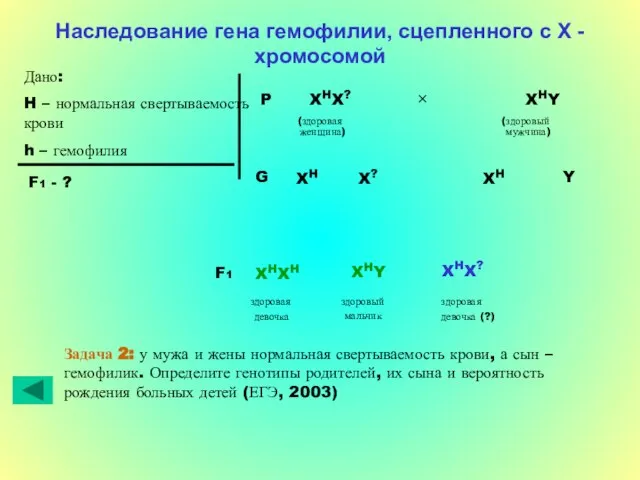 Наследование гена гемофилии, сцепленного с Х - хромосомой Дано: H – нормальная