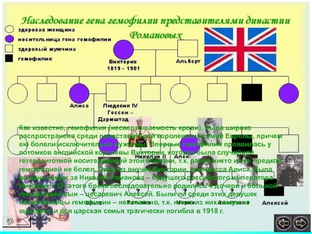 Как известно, гемофилия (несвертываемость крови), была широко распространена среди представителей королевских семей