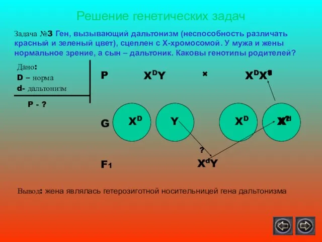 Решение генетических задач Задача №3 Ген, вызывающий дальтонизм (неспособность различать красный и