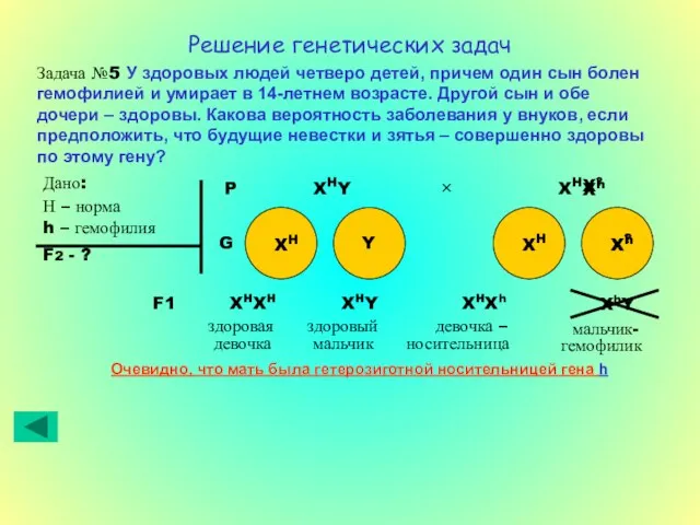 XHY девочка – носительница Решение генетических задач Задача №5 У здоровых людей