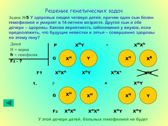 Решение генетических задач Задача №5 У здоровых людей четверо детей, причем один