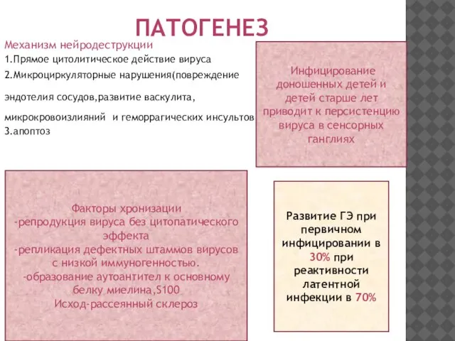 ПАТОГЕНЕЗ Механизм нейродеструкции 1.Прямое цитолитическое действие вируса 2.Микроциркуляторные нарушения(повреждение эндотелия сосудов,развитие васкулита,