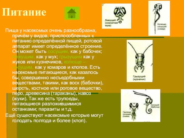 Пища у насекомых очень разнообразна, причём у видов, приспособленных к питанию определённой