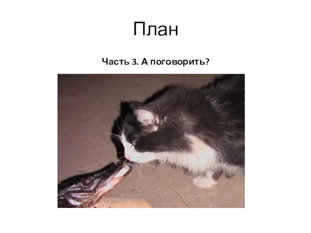 План Часть 3. А поговорить?