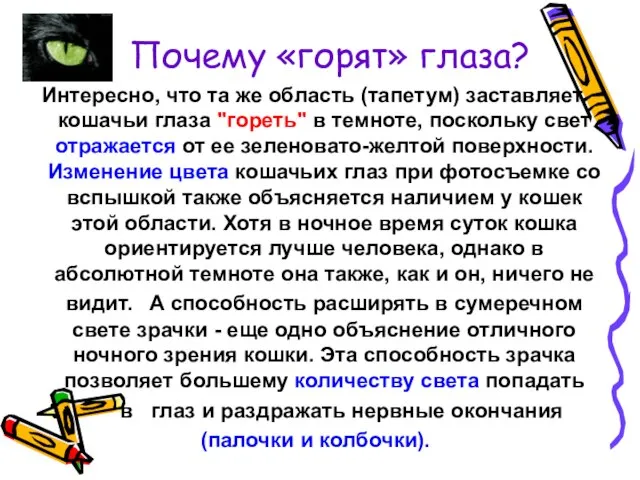 Почему «горят» глаза? Интересно, что та же область (тапетум) заставляет кошачьи глаза