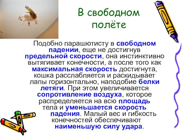 В свободном полёте Подобно парашютисту в свободном падении, еще не достигнув предельной