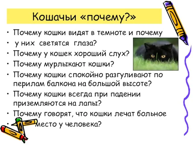 Кошачьи «почему?» Почему кошки видят в темноте и почему у них светятся