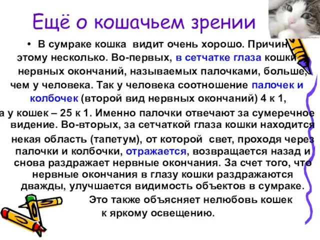 Ещё о кошачьем зрении В сумраке кошка видит очень хорошо. Причин этому