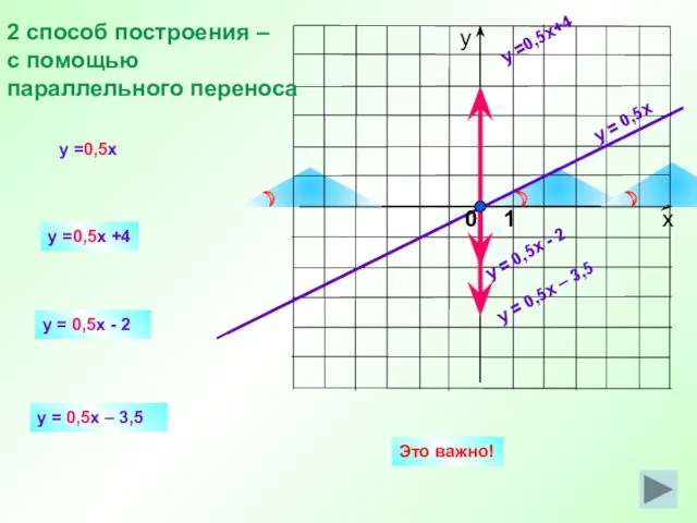 y = 0,5x y =0,5x+4 y = 0,5x - 2 y =0,5x