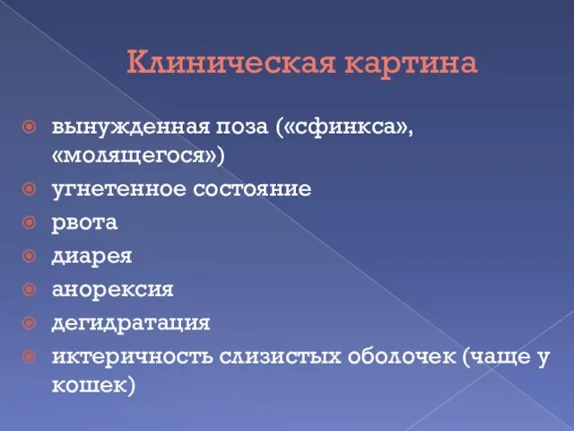 Клиническая картина вынужденная поза («сфинкса», «молящегося») угнетенное состояние рвота диарея анорексия дегидратация