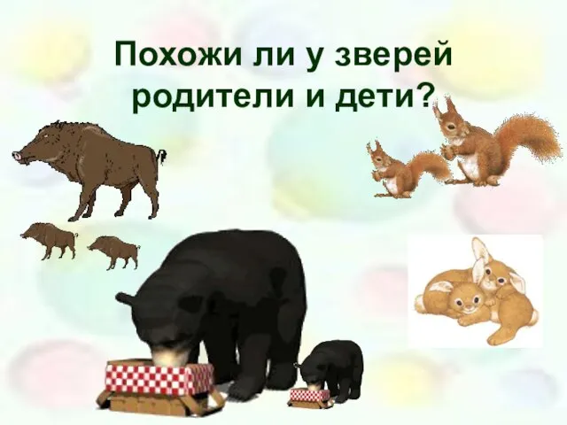 Похожи ли у зверей родители и дети?