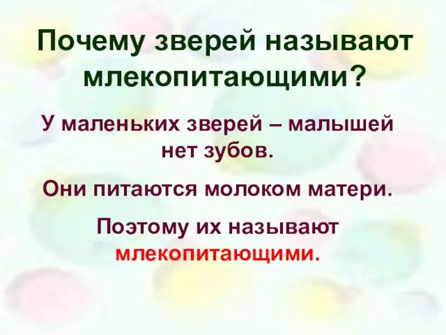 Почему зверей называют млекопитающими? У маленьких зверей – малышей нет зубов. Они