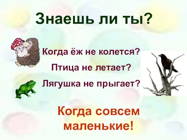 Знаешь ли ты? Когда ёж не колется? Птица не летает? Лягушка не прыгает? Когда совсем маленькие!