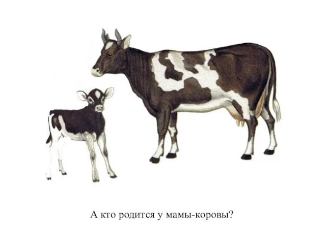 А кто родится у мамы-коровы?