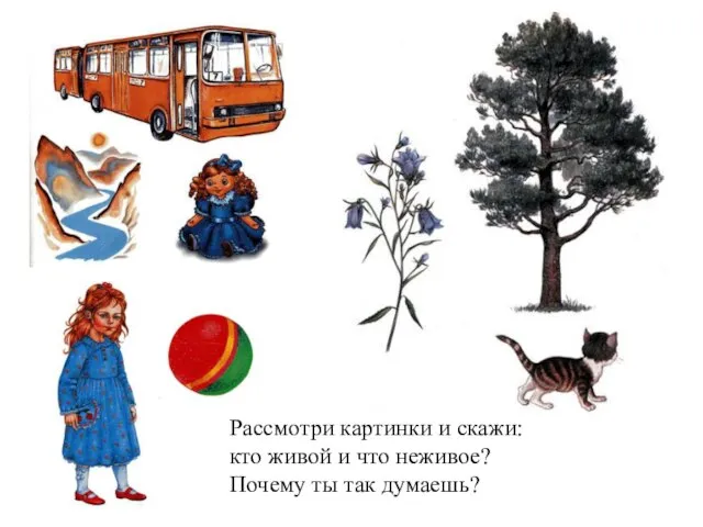 Рассмотри картинки и скажи: кто живой и что неживое? Почему ты так думаешь?