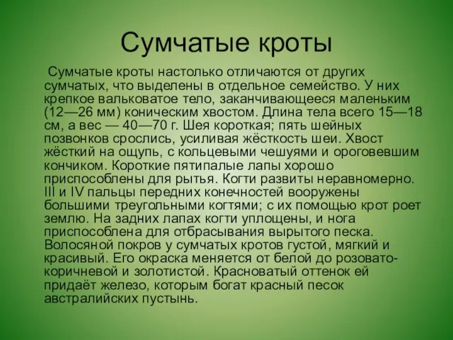 Сумчатые кроты Сумчатые кроты настолько отличаются от других сумчатых, что выделены в