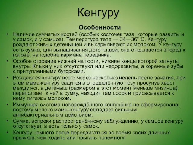 Кенгуру Особенности Наличие сумчатых костей (особых косточек таза, которые развиты и у