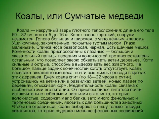 Коалы, или Сумчатые медведи Коала — некрупный зверь плотного телосложения: длина его