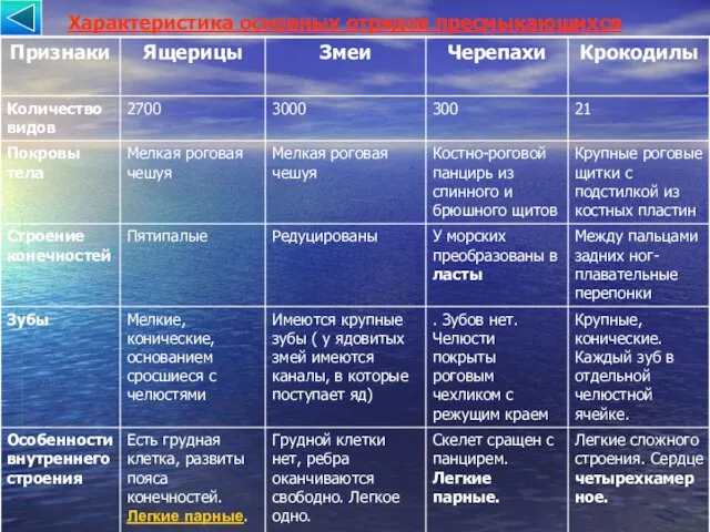 Характеристика основных отрядов пресмыкающихся