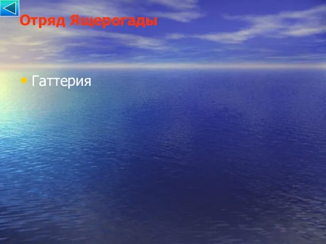 Отряд Ящерогады Гаттерия