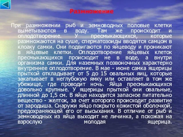 Размножение При размножении рыб и земноводных половые клетки выметываются в воду. Там