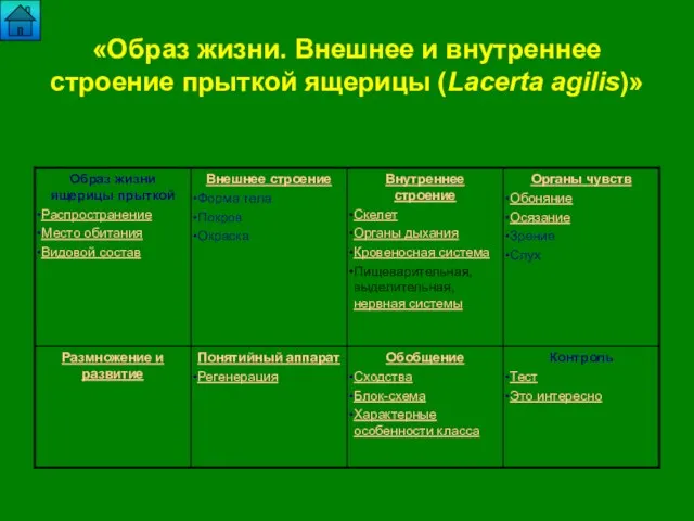 «Образ жизни. Внешнее и внутреннее строение прыткой ящерицы (Lacerta agilis)»